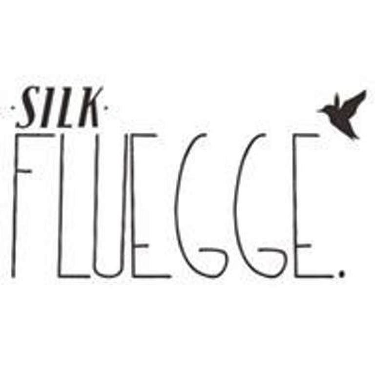 SILK Fluegge KLISCOPE, Linz, Tanzensemble